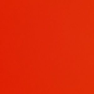 Meet your Posher, Trina